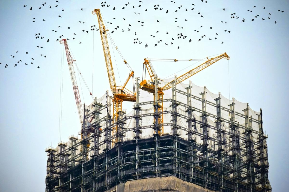 NF Machinery — heavy equipment